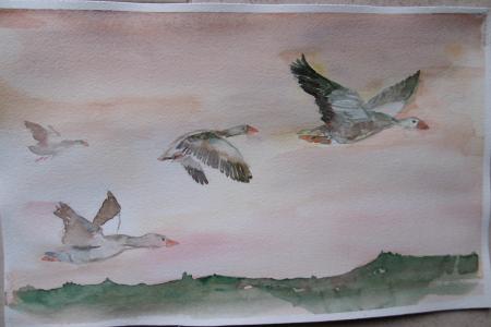 Aline L'envol aquarelle